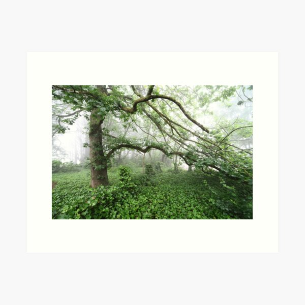 Item preview, Misty Tree designed and sold by Geoff Smith.