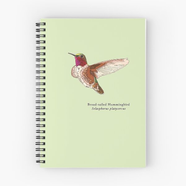 Item preview,  Broad tailed Hummingbird with Name for Home Art etc designed and sold by HummingbirdPics.