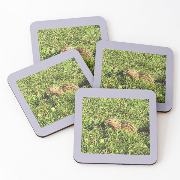 Item preview, Chipmunk designed and sold by Kim Taylor.