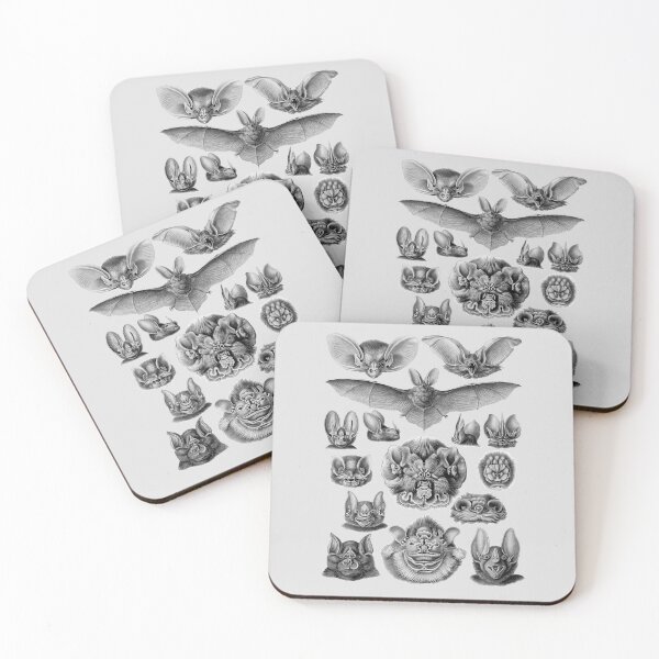 Item preview, Ernst Haeckel t-shirt - Chiroptera (bat), art forms of nature - 1904 designed and sold by Magicplants.