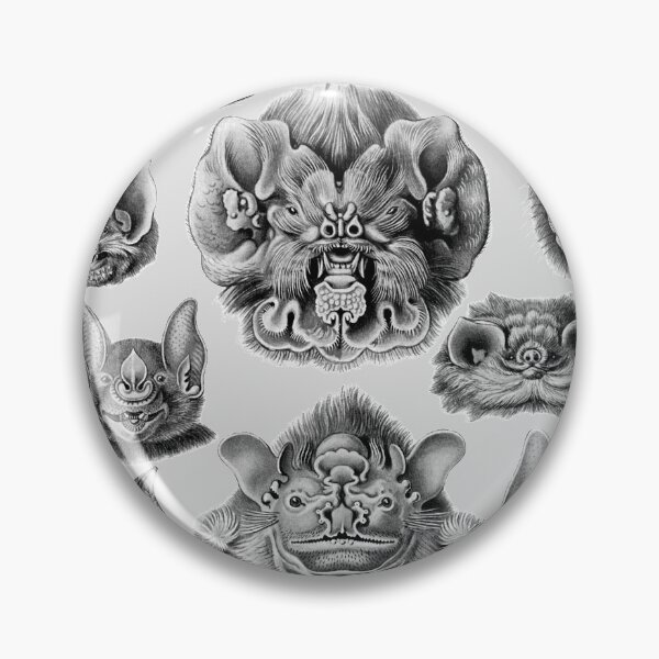 Artikelvorschau, Ernst Haeckel t-Shirt - Chiroptera (Fledermaus), Kunst Formen der Natur - 1904 entworfen und verkauft von Magicplants.