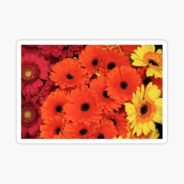 Flowers Sticker