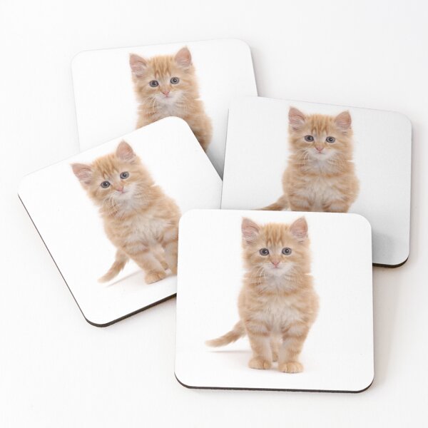 Item preview, Fluffy ginger kitten designed and sold by Warren  Photographic.