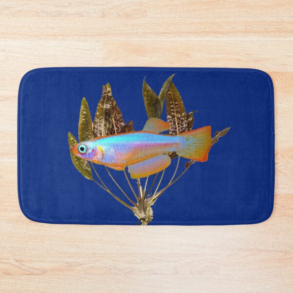 Item preview, Procatopus similis killifish designed and sold by killies.