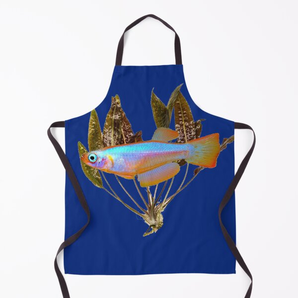 Item preview, Procatopus similis killifish designed and sold by killies.