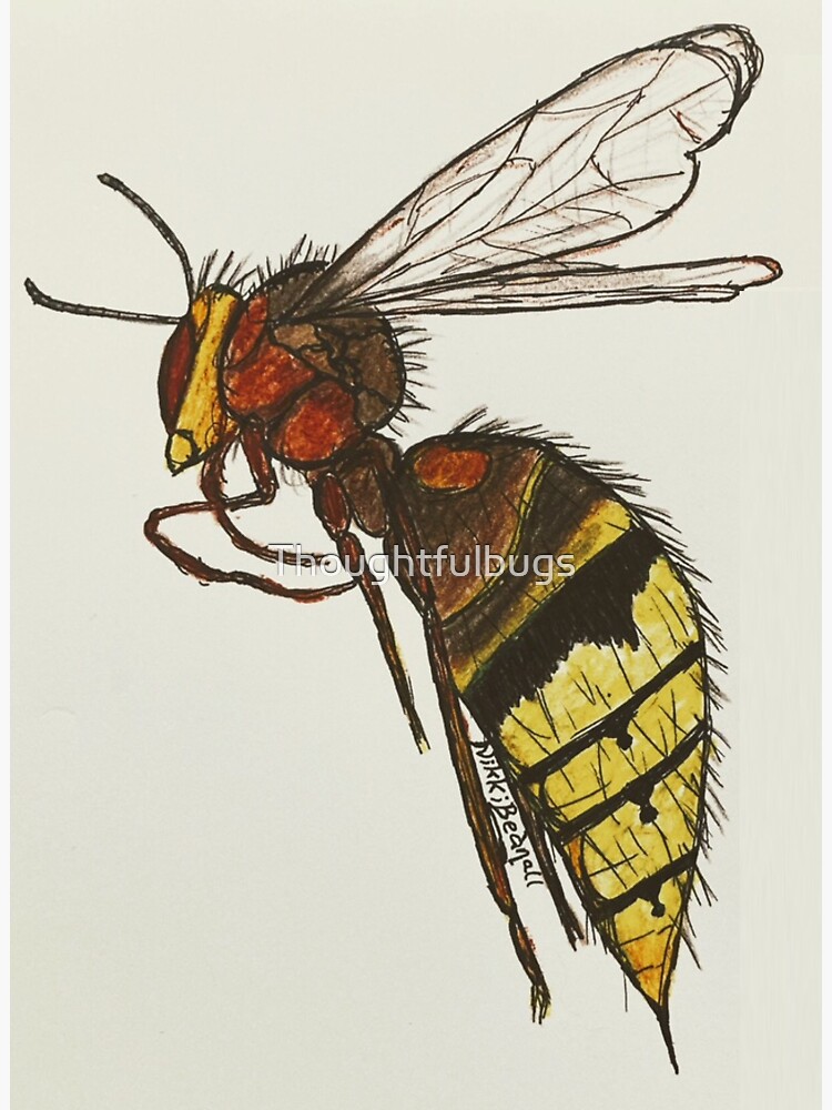 Wasp in flight by Thoughtfulbugs