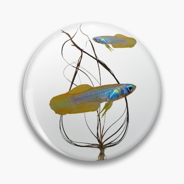Item preview, Poropanchax normani and Cryptocoryne Crispatula designed and sold by killies.