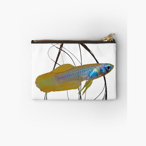 Item preview, Poropanchax normani and Cryptocoryne Crispatula designed and sold by killies.