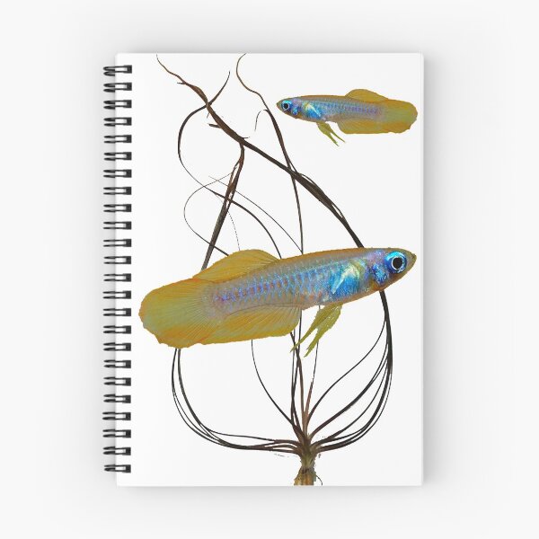 Item preview, Poropanchax normani and Cryptocoryne Crispatula designed and sold by killies.