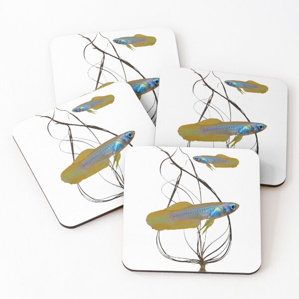 Item preview, Poropanchax normani and Cryptocoryne Crispatula designed and sold by killies.