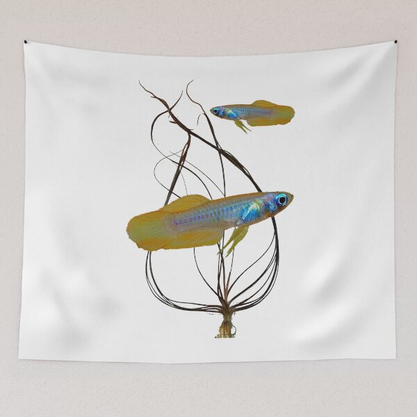 Item preview, Poropanchax normani and Cryptocoryne Crispatula designed and sold by killies.