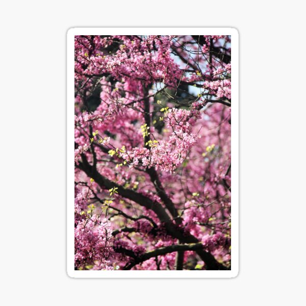 Flowery Tree Sticker