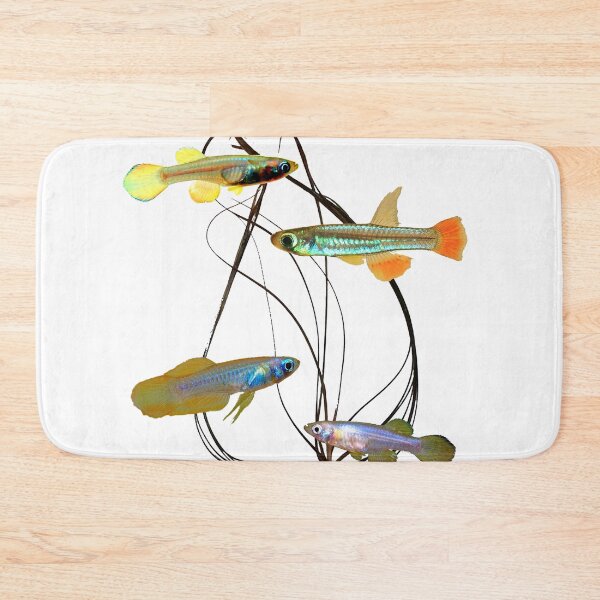 Item preview, micropanchax and crispatula designed and sold by killies.