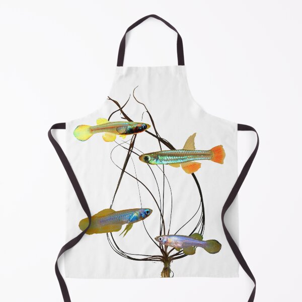 Item preview, micropanchax and crispatula designed and sold by killies.