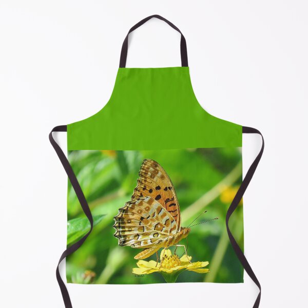 Item preview, Tropical Fritillary Butterfly on a Daisy designed and sold by Linda Walsh.