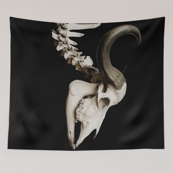 Item preview, Animal Skull  designed and sold by Greg V.