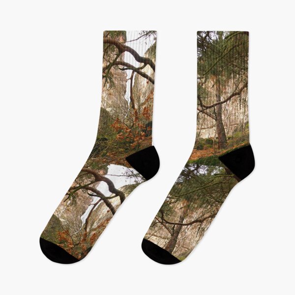 Item preview, Off the Beaten Path - Forest designed and sold by Totallyalive.