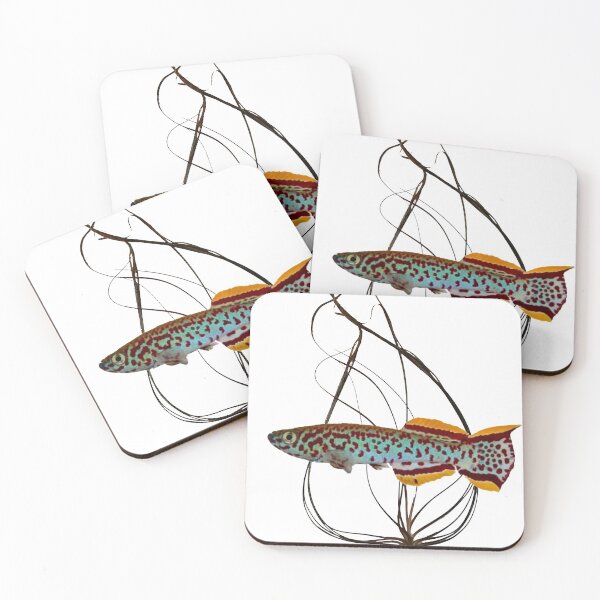 Item preview, Fundulopanchax gardneri  designed and sold by killies.