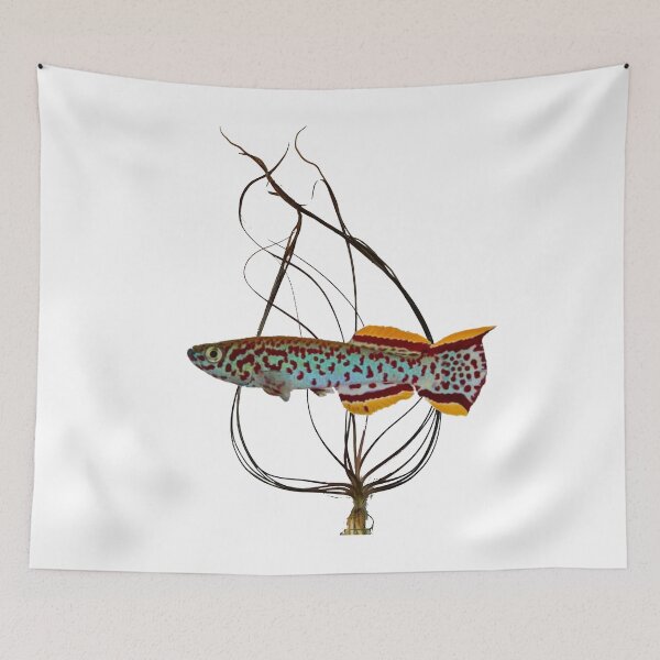 Item preview, Fundulopanchax gardneri  designed and sold by killies.