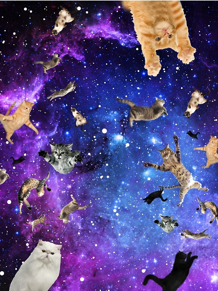 Galaxy Cats in Space Girls Leggings 8-20, Blue Stars Kittens