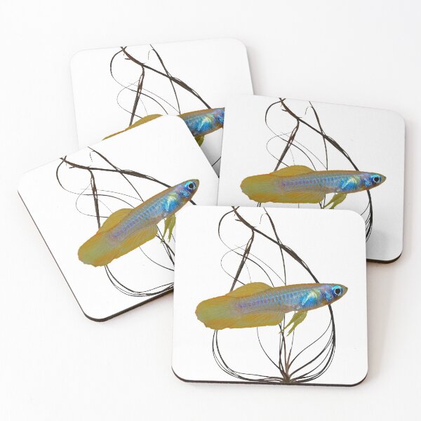 Item preview, Poropanchax normani killifish and crypt designed and sold by killies.