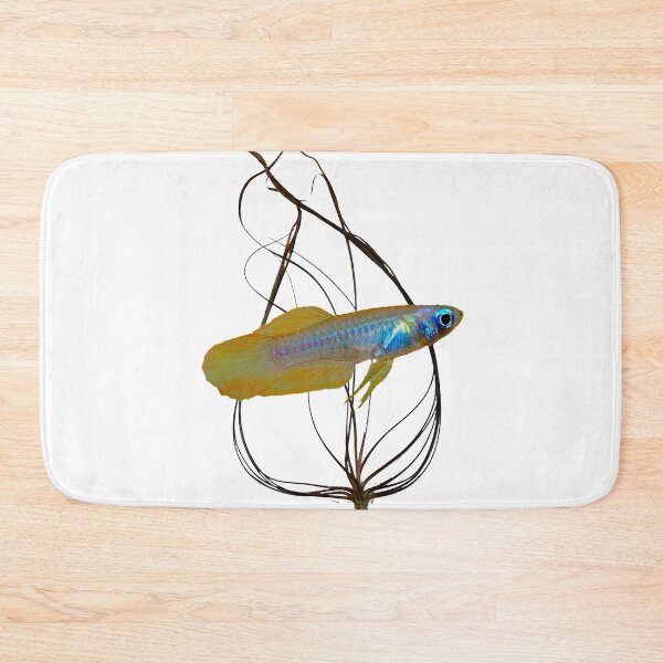 Item preview, Poropanchax normani killifish and crypt designed and sold by killies.