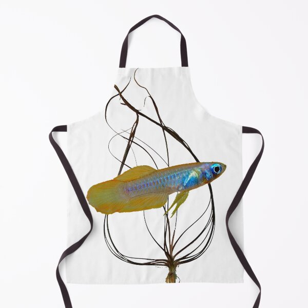 Item preview, Poropanchax normani killifish and crypt designed and sold by killies.