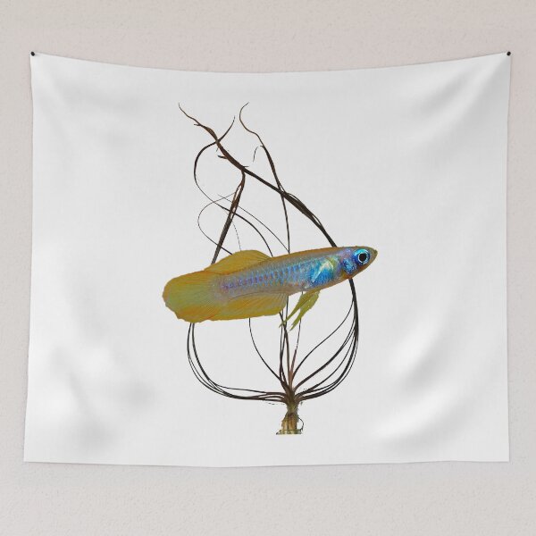 Item preview, Poropanchax normani killifish and crypt designed and sold by killies.