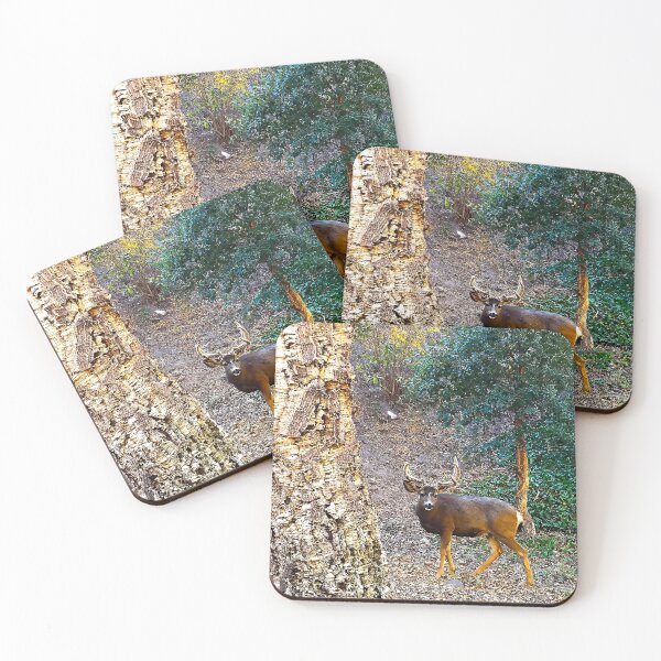 Item preview, Venado bura de California (Odocoileus hemionus californicus) designed and sold by Douglas E. Welch Design and Photography.