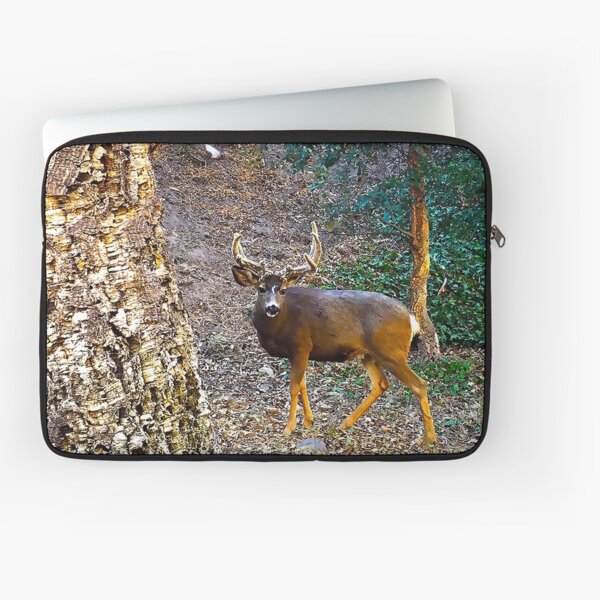California mule deer (Odocoileus hemionus californicus) Laptop Sleeve