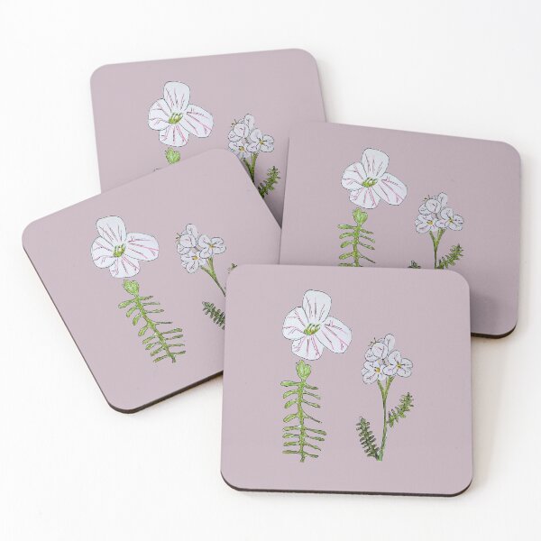 Item preview, Cuckoo Flower Botanical Plate designed and sold by HouseplantsAndScamps.