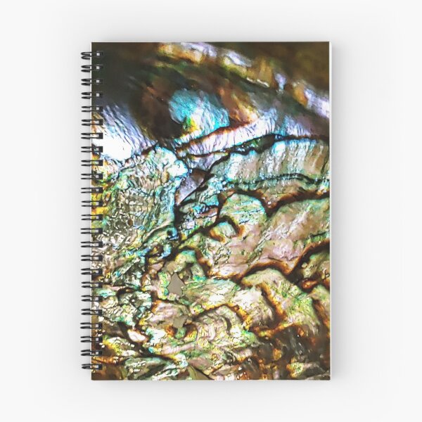Item preview, Abalone designed and sold by PositiveWarfare.