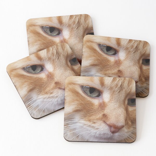 Item preview, Kitty Kontemplation designed and sold by PositiveWarfare.