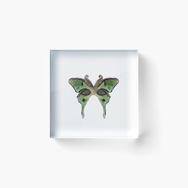 Item preview, moth designed and sold by hraeofsunshine.