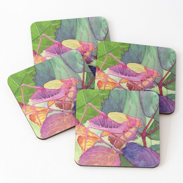 Item preview, Pink Katydid designed and sold by AuntieBetty.