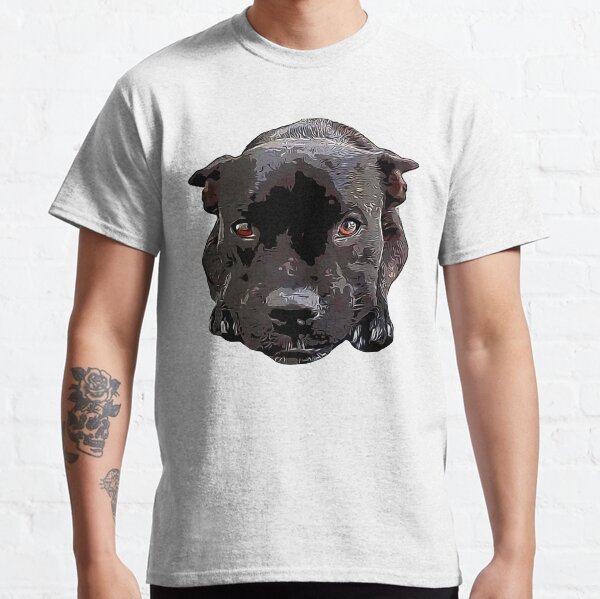 staffy hoodies for dogs