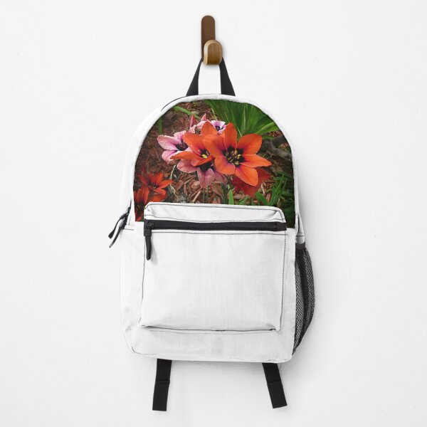Item preview, Ixias - Spring 2019 designed and sold by EdsMum.