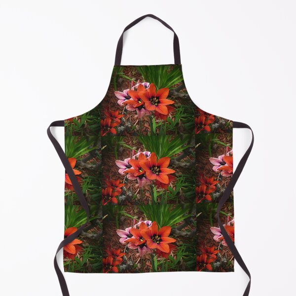Item preview, Ixias - Spring 2019 designed and sold by EdsMum.
