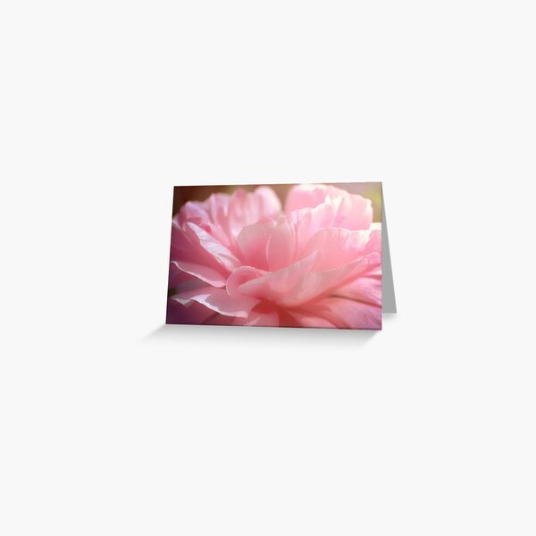 peony dawn Greeting Card