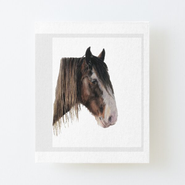 Clydesdale Horse Portrait Canvas Mounted Print
