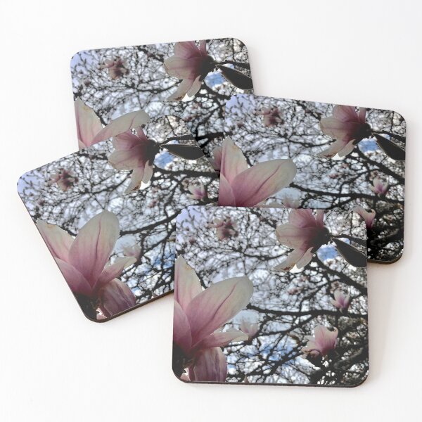 Item preview, Looking Up Through Magnolia Flowers designed and sold by hkkatty.