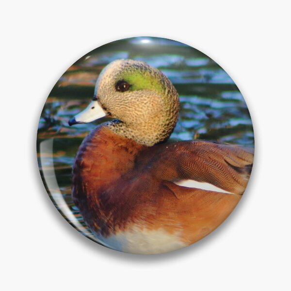 Item preview, American Wigeon designed and sold by EyeMusic.