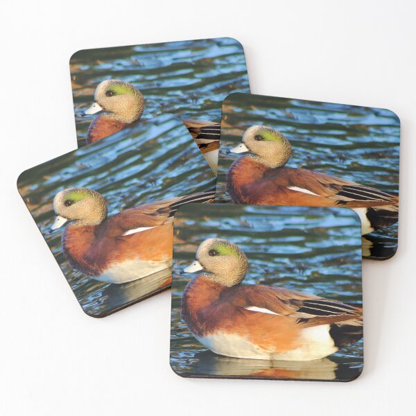 Item preview, American Wigeon designed and sold by EyeMusic.