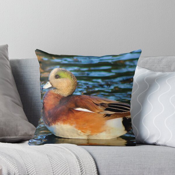 Item preview, American Wigeon designed and sold by EyeMusic.