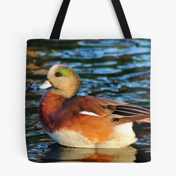 Item preview, American Wigeon designed and sold by EyeMusic.