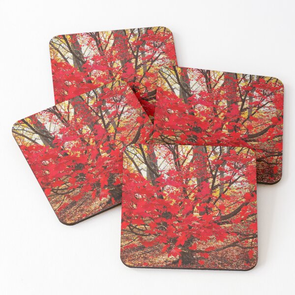 Item preview, autumn burst designed and sold by LaskoPhotos.