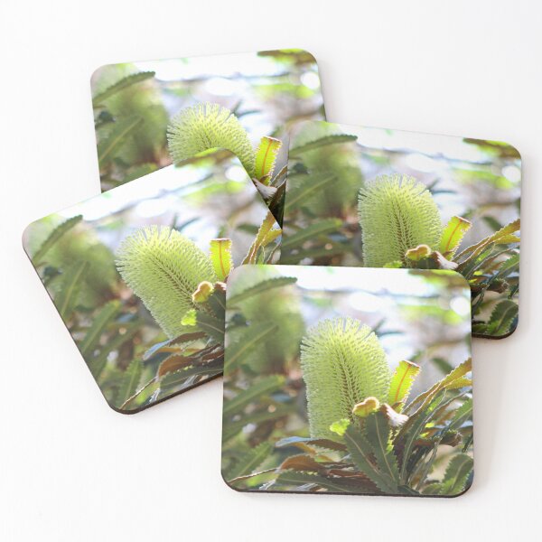Item preview, Australian native tree Banksia Flower  designed and sold by bradm50.