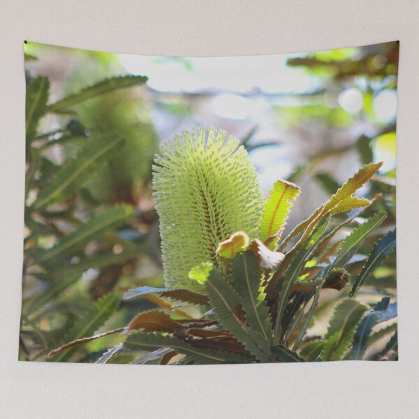 Item preview, Australian native tree Banksia Flower  designed and sold by bradm50.