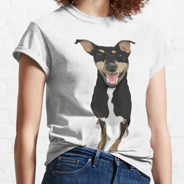 miniature pinscher clothes