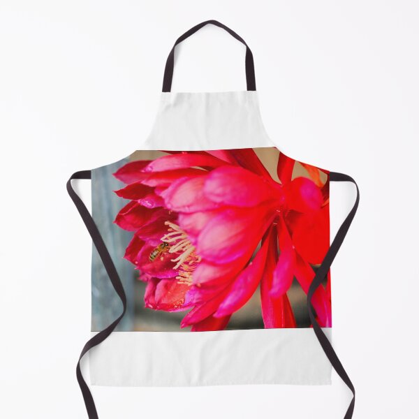 Item preview, Epiphyllum "Dracula" ( 1 ) designed and sold by Larry Davis.